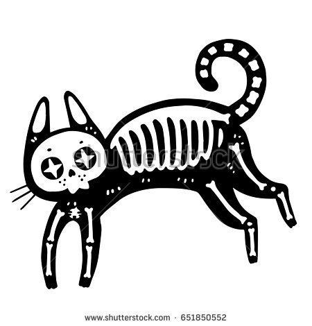 450x470 Cat Skeleton Clipart