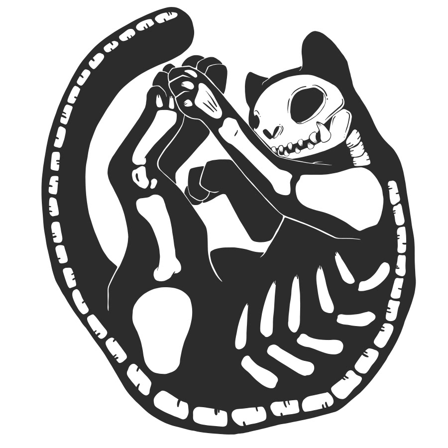 900x900 Cat Skeleton Vector Illustration On Behance