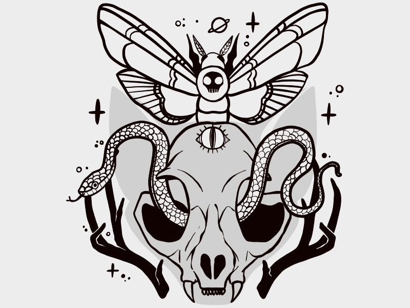 800x600 Cat Skull, Moth, Third Eye, Snake Illustration