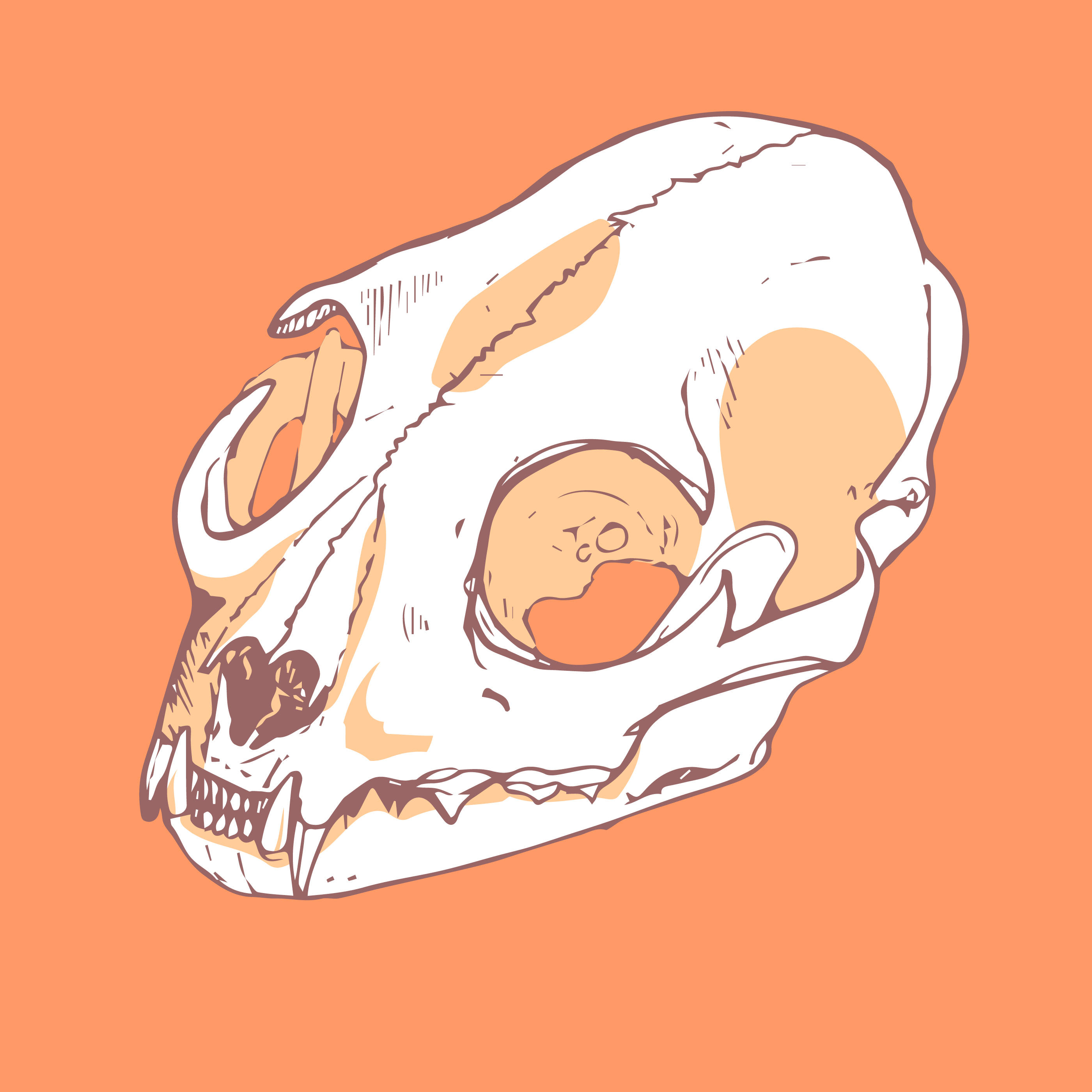 2800x2800 Cat Skull Digital Vector Hand Drawn Clip Art Download Etsy