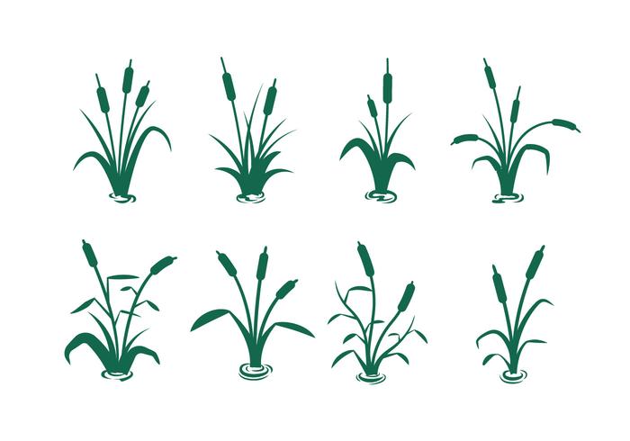 700x490 Cattail Silhouette Vectors