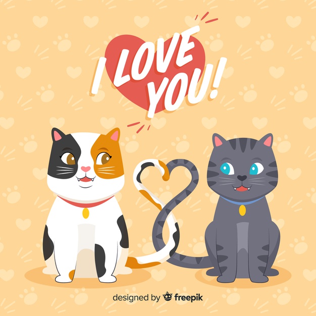 626x626 Cat Tail Vectors, Photos And Free Download