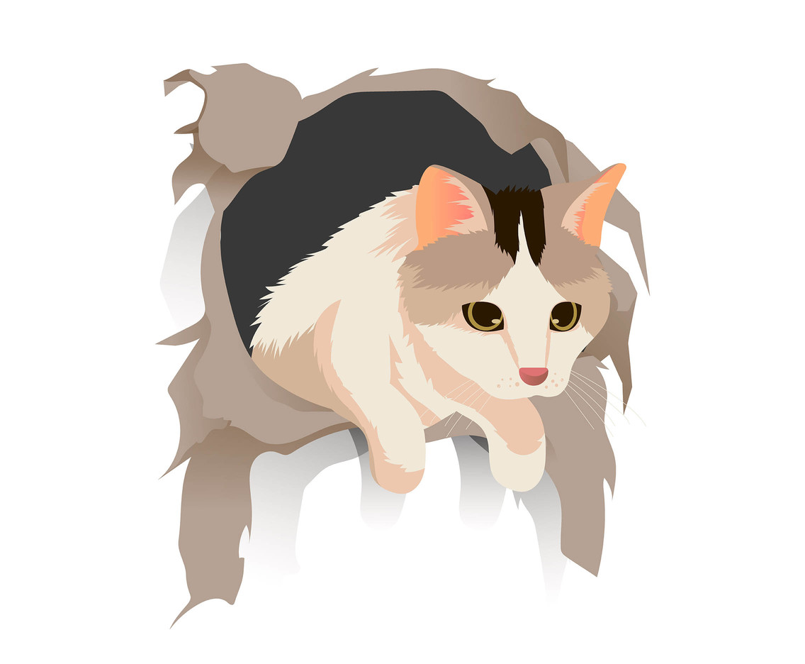 Cat Vector