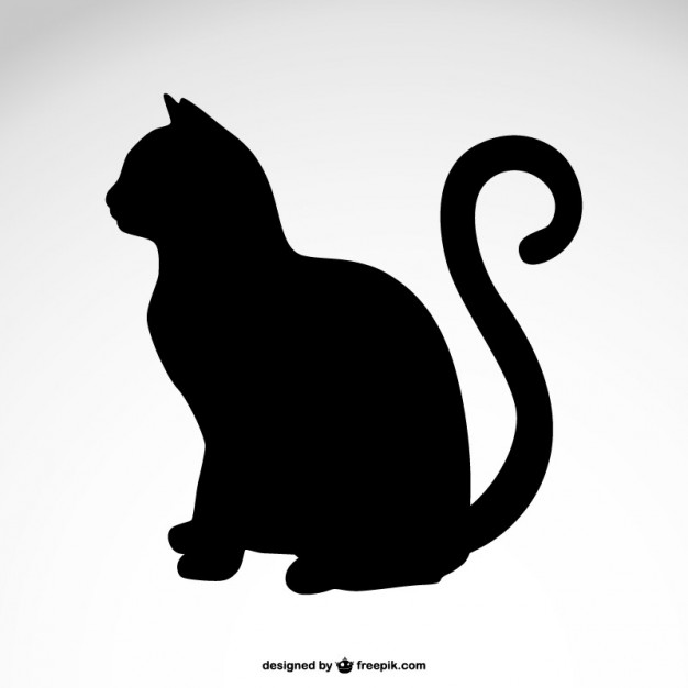 626x626 Cat Vectors, Photos And Free Download