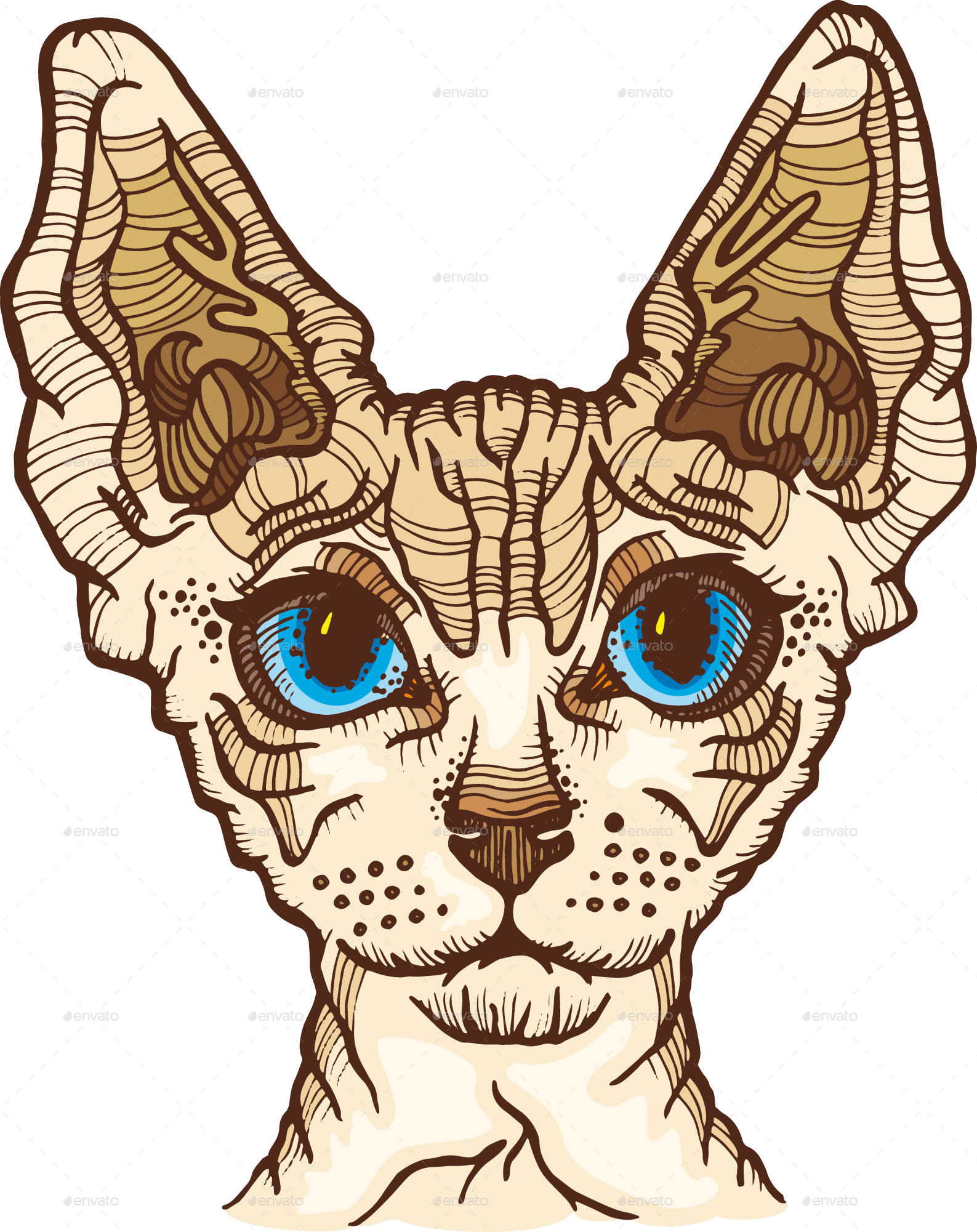 1587x2001 Sphynx Cat Vector Illustration
