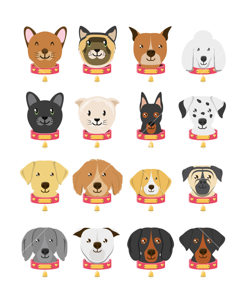 808x1000 Group Of Dog Breeds And Cat Vector Illustration Design Royalty
