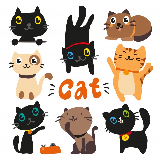626x626 Colorful Cat Vectors, Photos And Free Download