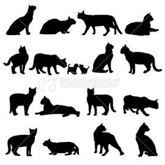 236x236 Best Cat Vector Images In Cats, Cat Art, Drawings