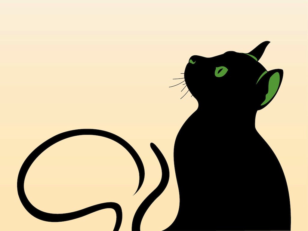 1024x768 Cat Graphics Vector Art Graphics