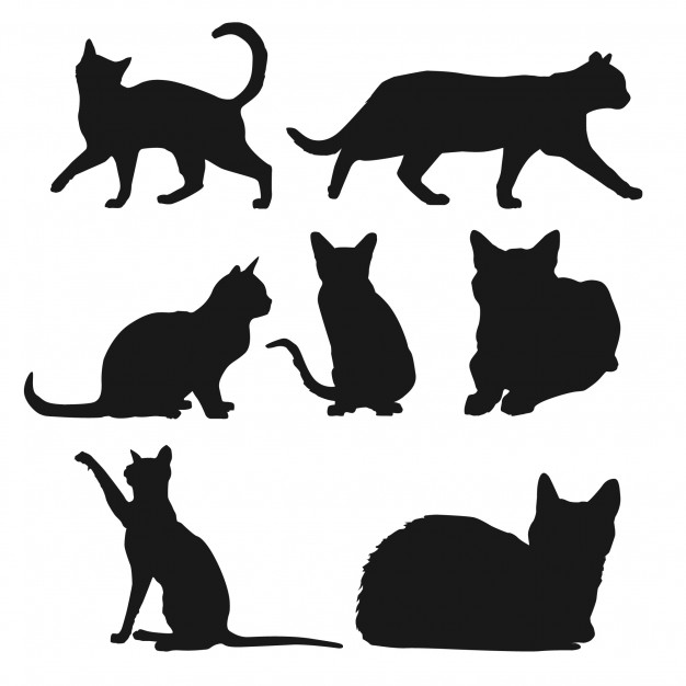 626x626 Cat Silhouette Vectors, Photos And Free Download