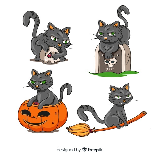 626x626 Cat Vectors, Photos And Free Download