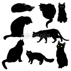 Cat Vector Free