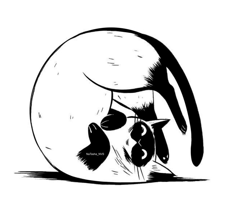 800x719 Fat Cat Vector Art Free Vector Cdr Download