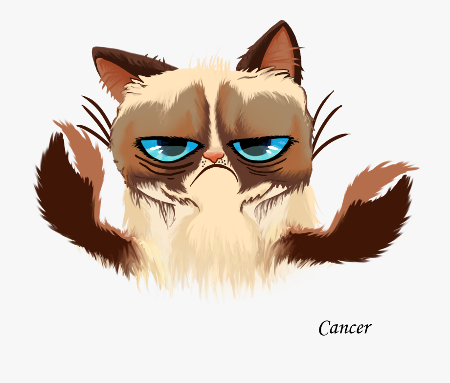 920x783 Cat Vector Png