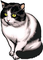 179x250 Free Kitten Cat Clipart And Vector Graphics