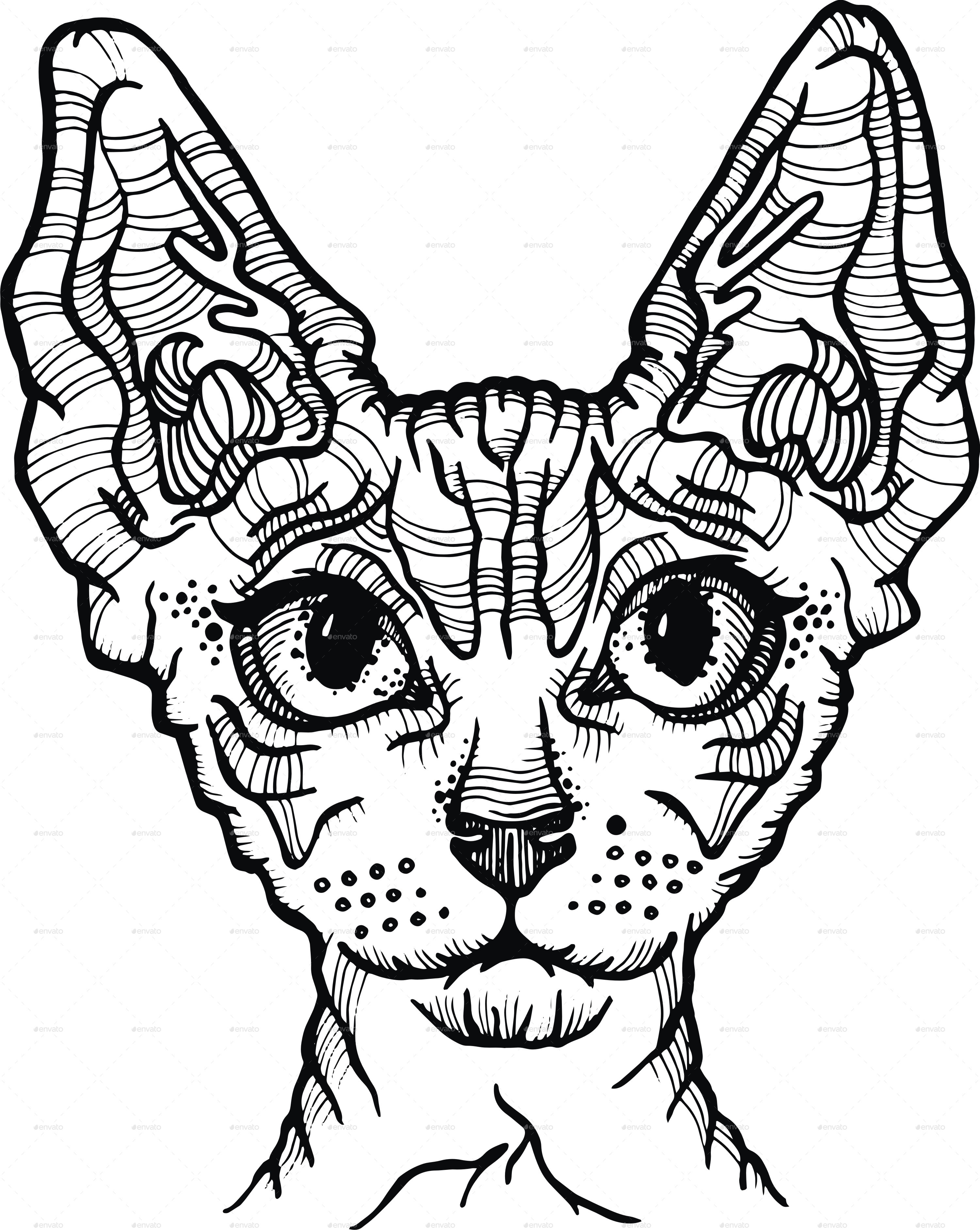 3000x3765 Sphynx Cat Vector Illustration