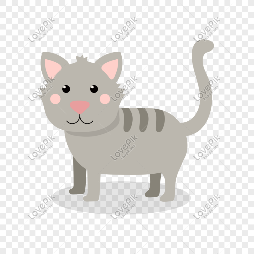 860x860 Gray Cat Vector Material Png Image Picture Free Download