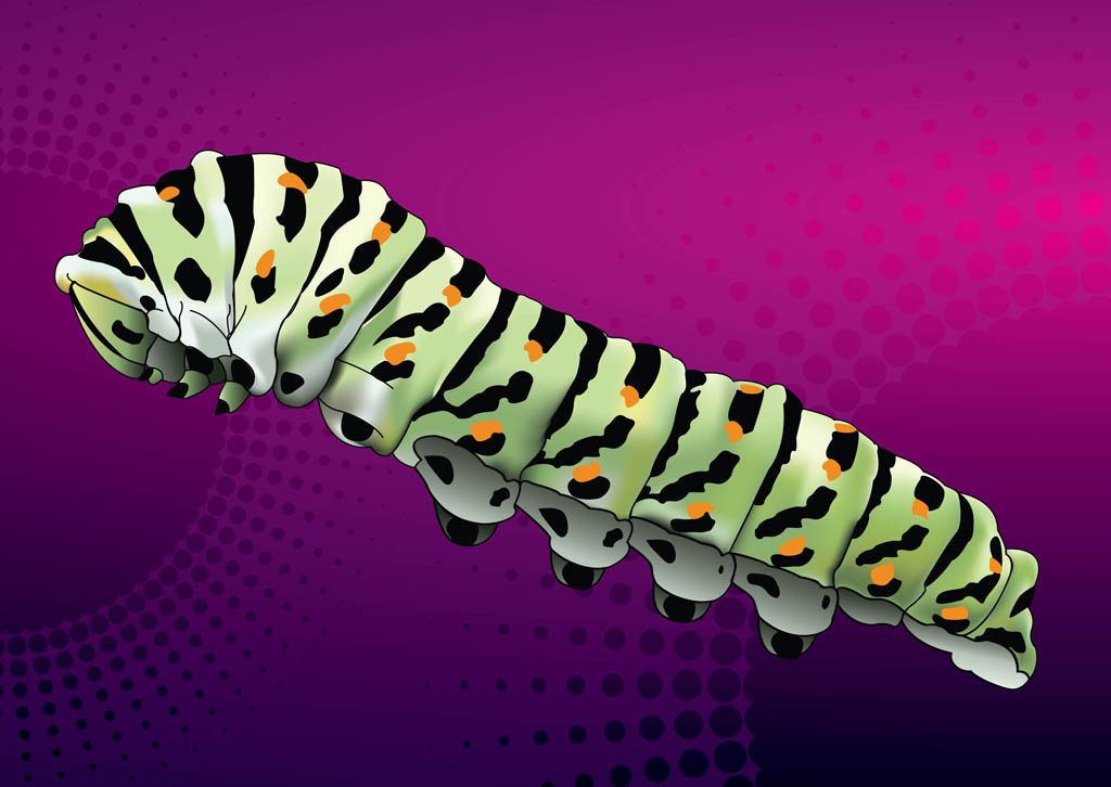 1024x726 Caterpillar Vector Vector Art Graphics