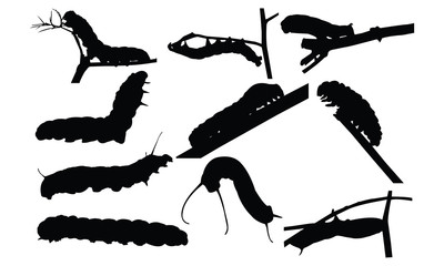 400x240 Caterpillar Vector Photos, Royalty Free Images, Graphics, Vectors