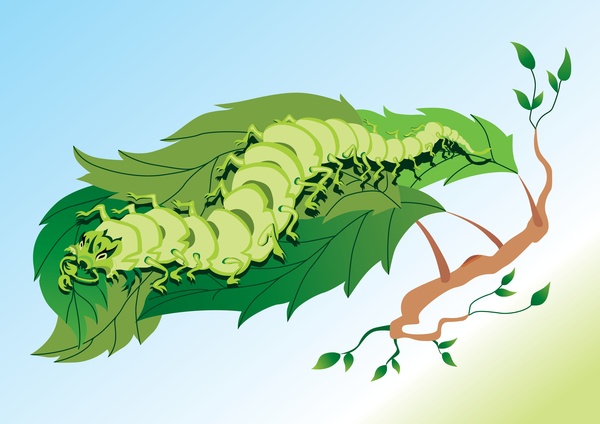 600x424 Caterpillar Vector Free Vector In Encapsulated Postscript