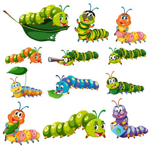 493x490 Different Color Caterpillar Characters