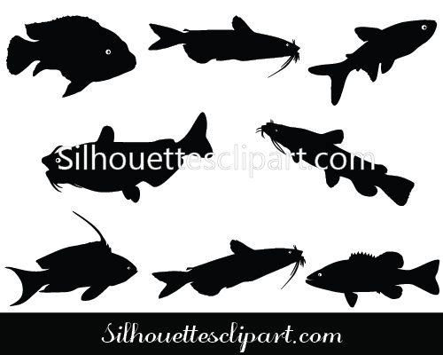 Catfish Vector