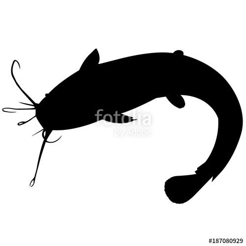 500x500 Catfish Stock Image And Royalty Free Vector