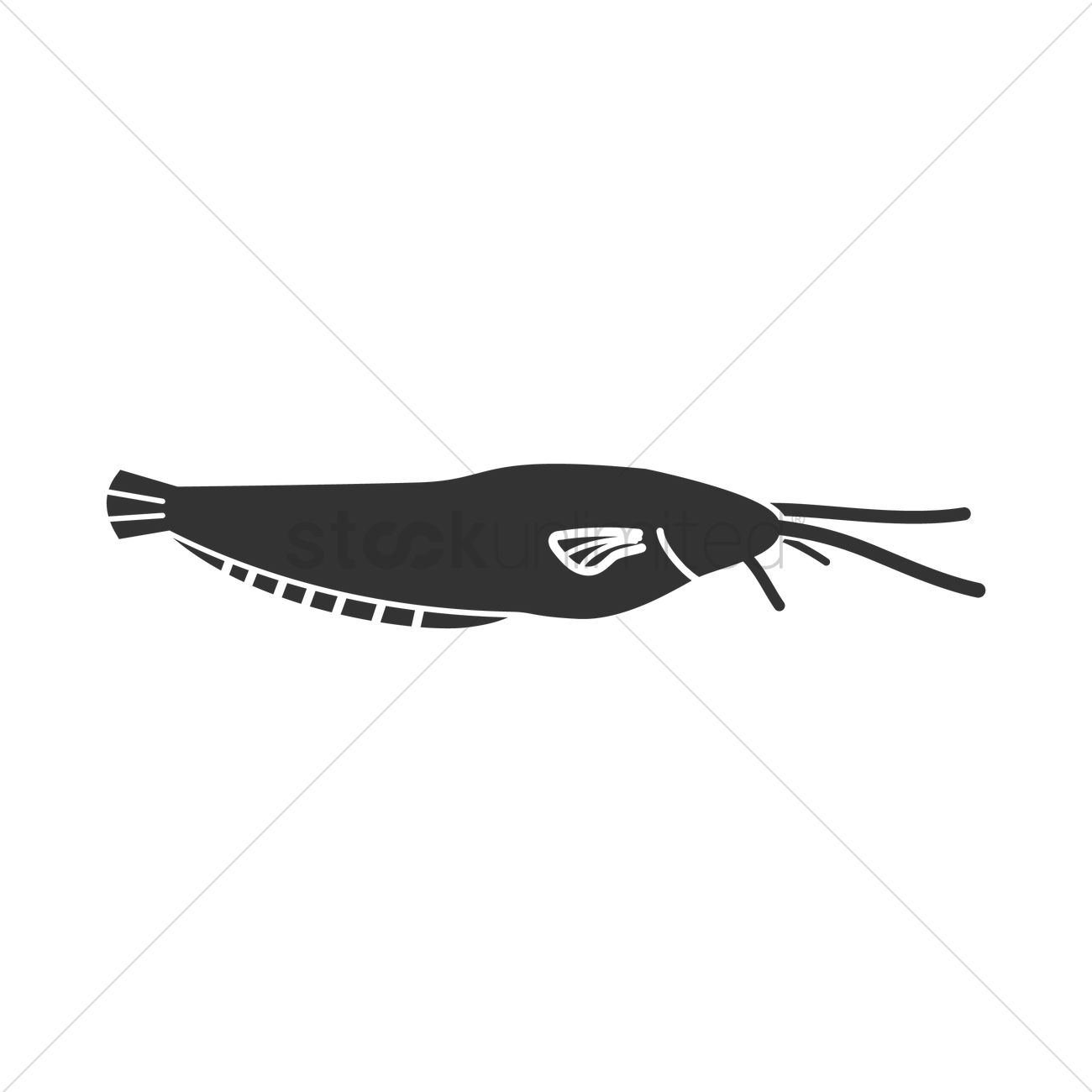 1300x1300 Catfish Vector Image