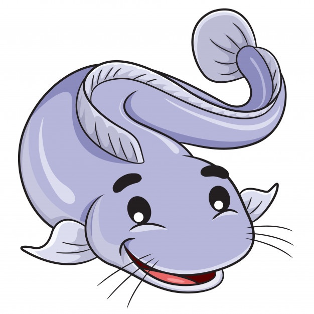 626x626 Catfish Vectors, Photos And Free Download