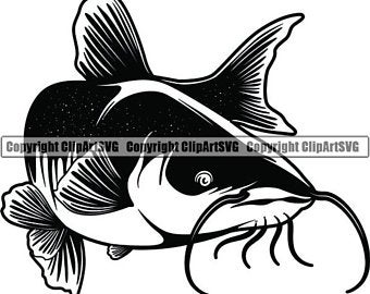 340x270 Catfish Clip Art Etsy