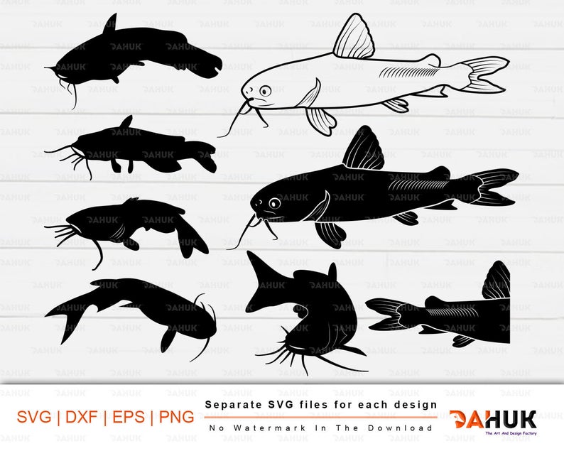 794x635 Catfish Catfish Clipart Catfish Vector African Catfish Etsy