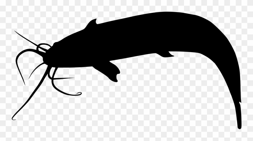 880x492 Clip Art Free Download Catfish Vector Silhouette