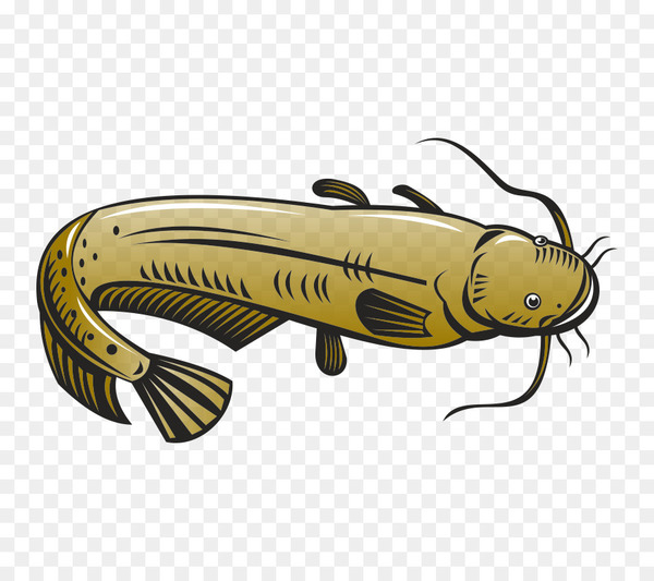 600x533 Clip Art Catfish Vector Graphics Illustration Image