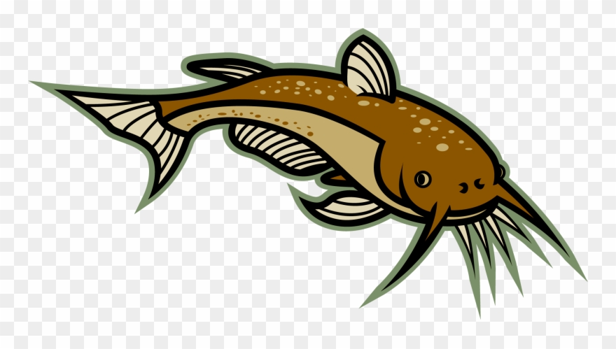 880x499 Library Stock Catfish Vector Lele