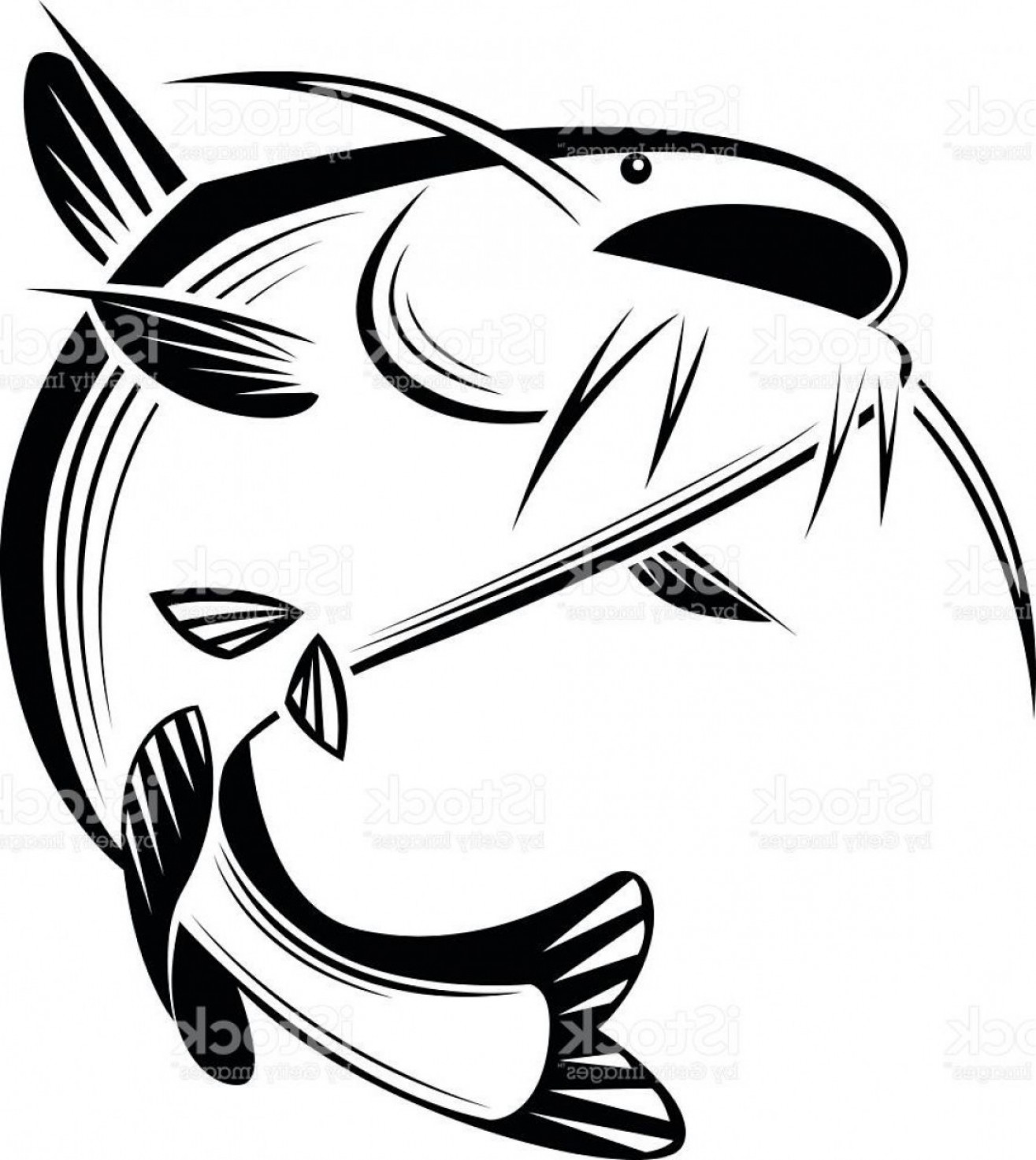 1315x1473 Best Free Graphic Catfish Vector Cdr Cqrecords