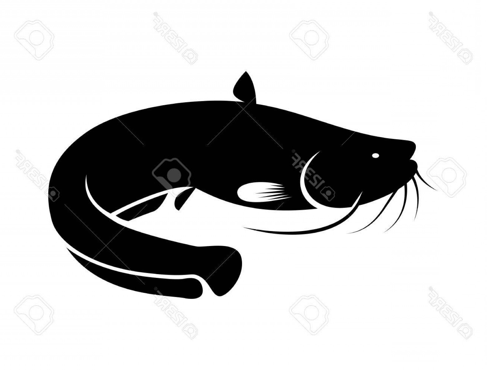 1560x1185 Photostock Vector Icon Black Catfish Vector Cqrecords