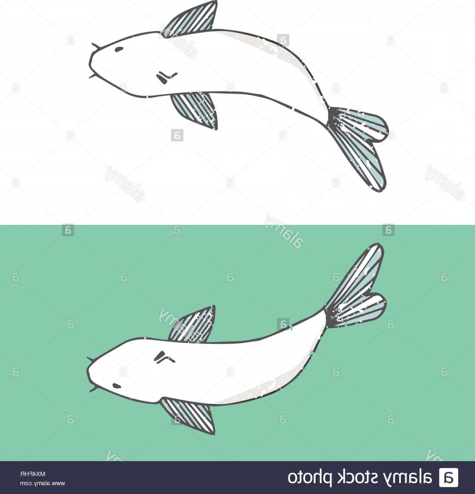 1560x1622 Vector Fish Catfish White Fish Sea Life Drawing Geometric Image
