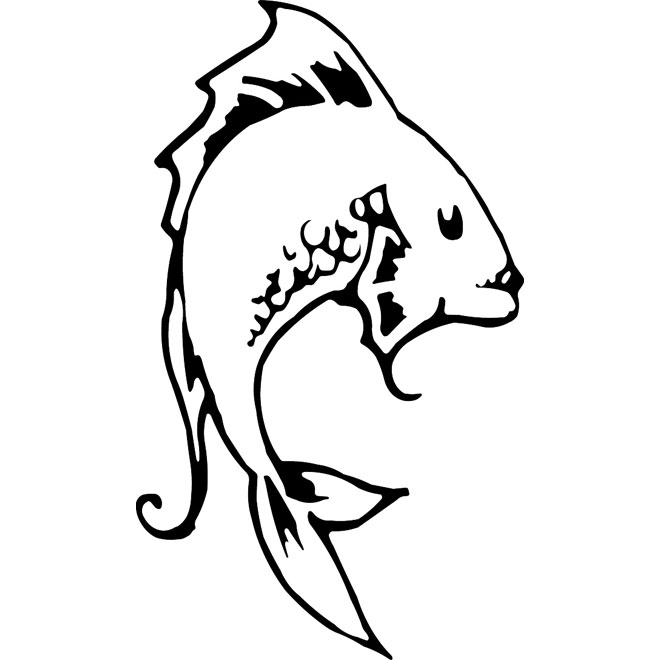 660x660 Catfish Vector Image