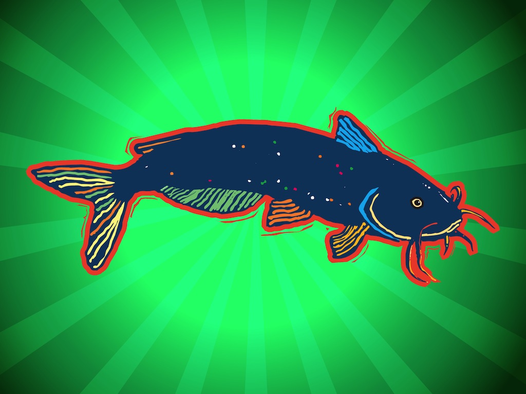 1024x767 Catfish Illustration Vector Art Graphics