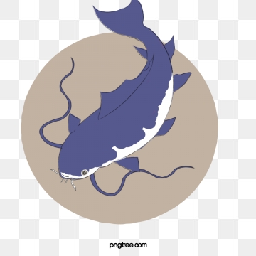 360x360 Catfish Png Images Vectors And Free Download