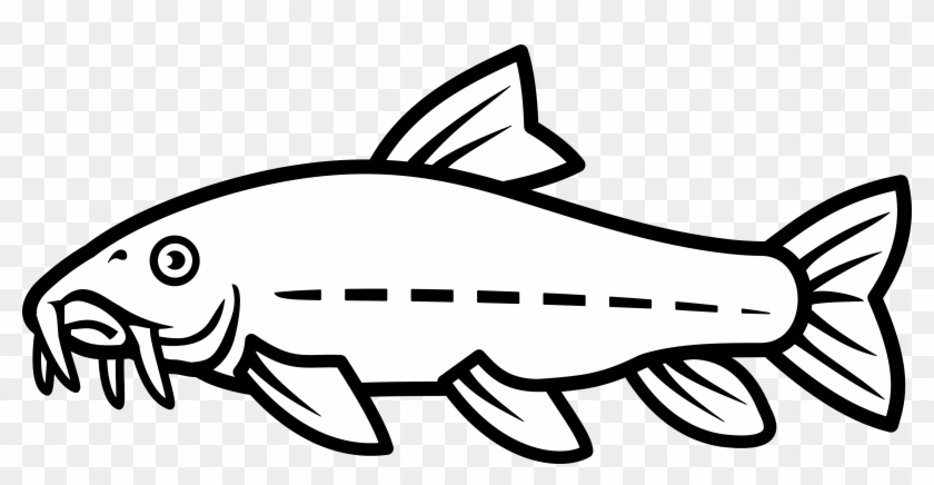 840x436 Catfish Vector