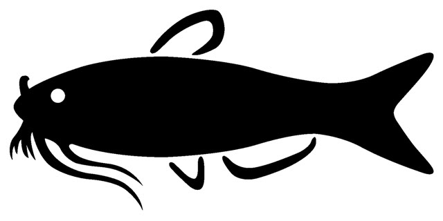 640x320 Catfish Clipart Png And Cliparts For Free Download