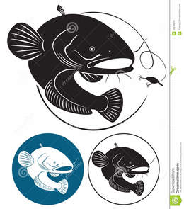 260x295 Download Catfish Vector Clipart Royalty Free Clip Art