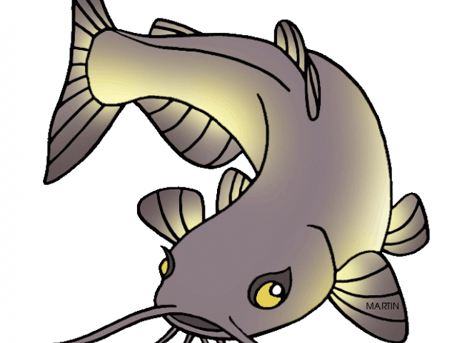 640x480 Huge Collection Of 'catfish Clipart' Download More Than Images