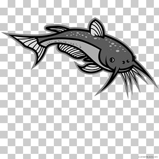 310x310 Catfish Vector Png Cliparts For Free Download Uihere