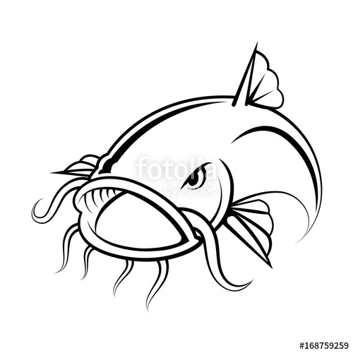 500x500 Graphic Catfish On White Background, Vector Stock Image