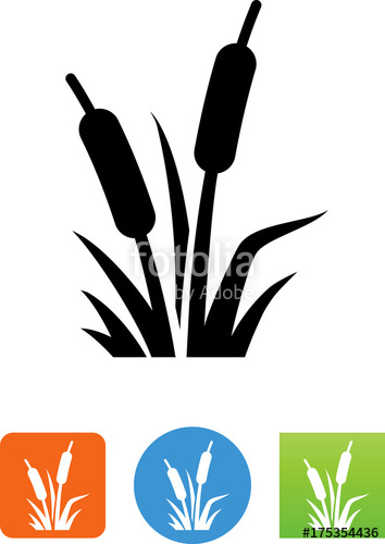 354x500 Cattail Wetland Plants Icon Stock Image And Royalty Free Vector