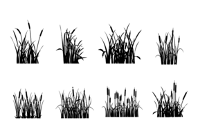 286x200 Cattails Free Vector Art