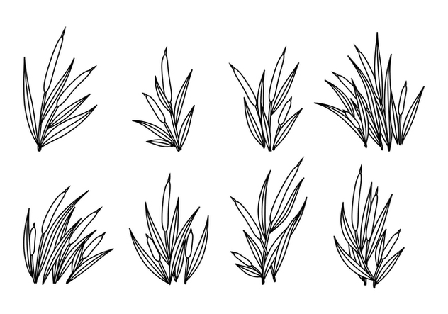 632x443 Cattails Vector Outline Free Vector Download Cannypic