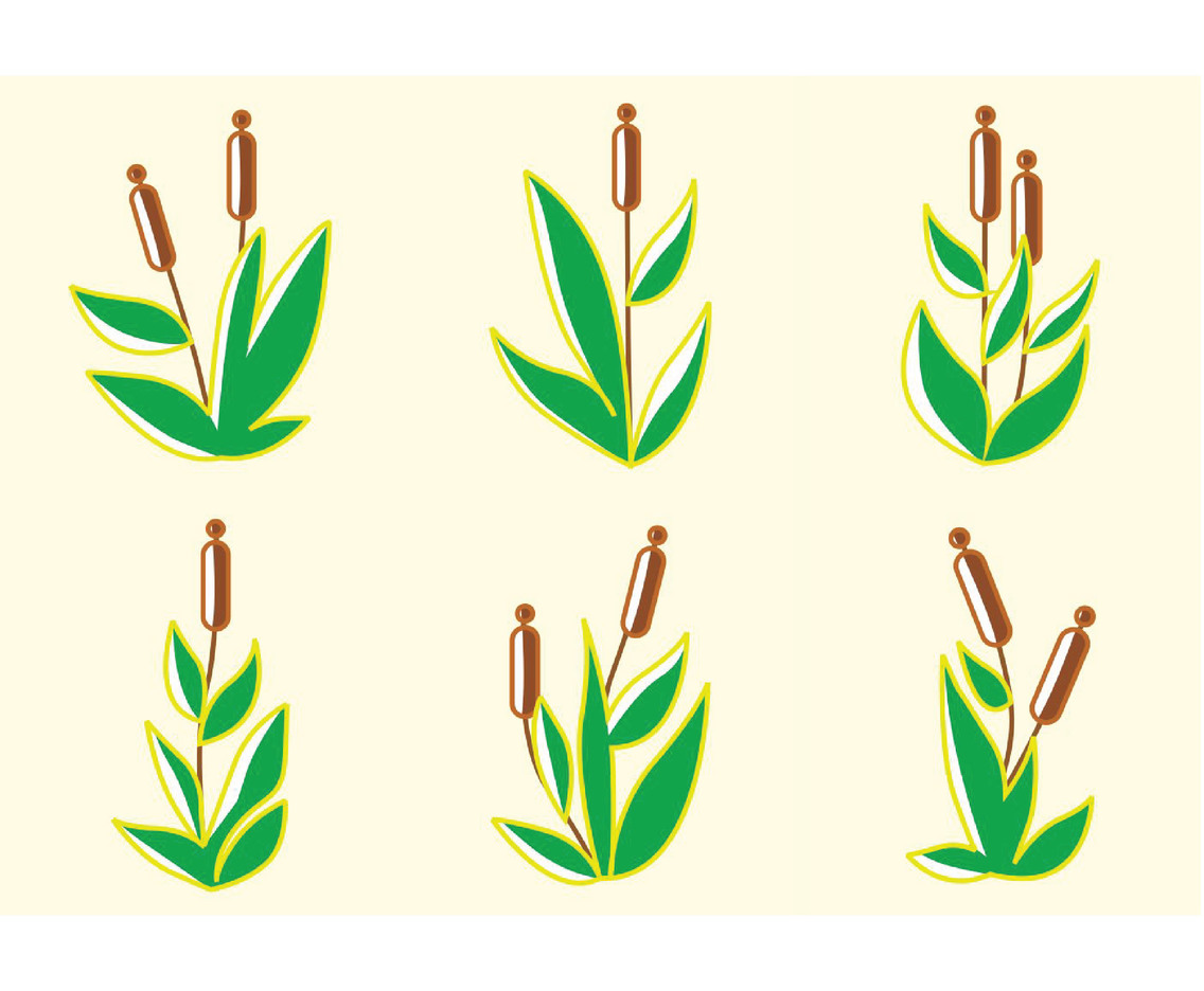 1136x936 Cattails Vector Vector Art Graphics